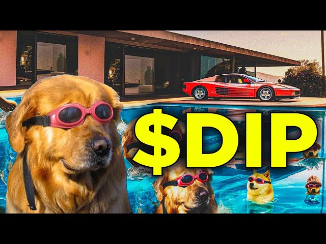 DogInThePool ($DIP on Sol) -- My Bullish Thesis