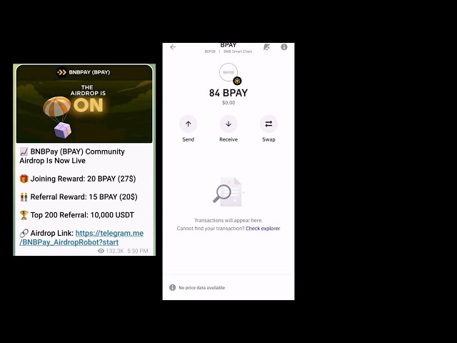 BNB BPAY coin Airdrop and Mining ! How to transfer BPAY coin Airdrop from Telegram to trust wallet.