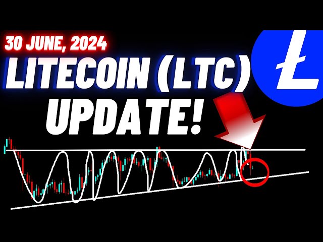 Litecoin (LTC) Kryptomünzen-Update! | 30. Juni 2024