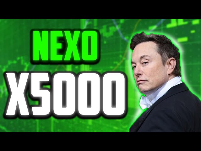 넥쏘가 X5000으로 곧 출시되나요? 🐕💸 - NEXO 가격 뉴스 📈✨ 9000% 상승? 아니면 이게 끝인가요? 🔮💸