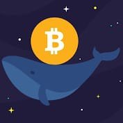 Whale BTC