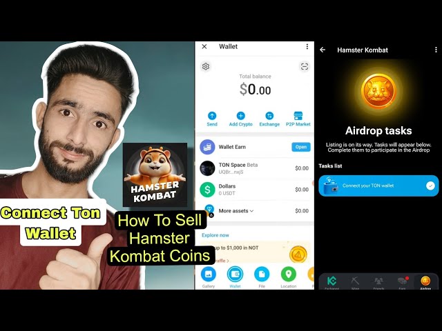 Hamster Kombat Ton Wallet Connect | Hamster Kombat Münzen Kaise Kare Kare verkaufen | Hamster-Kombat