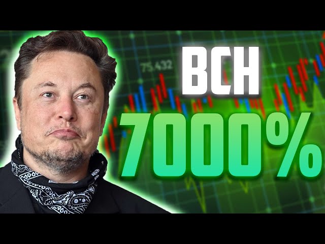 Der Anstieg von BCH um 7.000 % wird Ende dieses Jahres endlich kommen – Prognosen zum Bitcoin-Cash-Preis für 2025