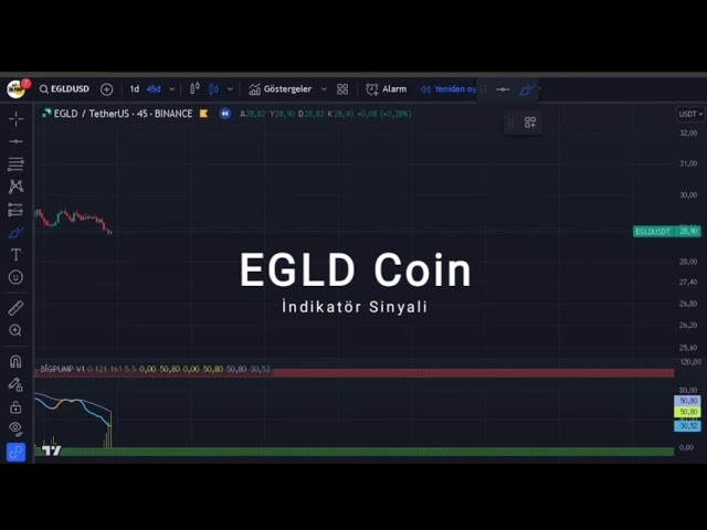 EGLD 硬幣指示訊號