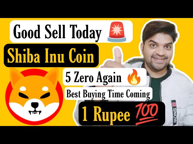 Bon crash 🚨 | Shiba Inu Coin Plus DUMP ( Shiba Inu ) | Shiba Inu Pièce 5 Zéro | Prix ​​​​du Shiba Inu