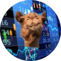 Camel Finance YT⚡️