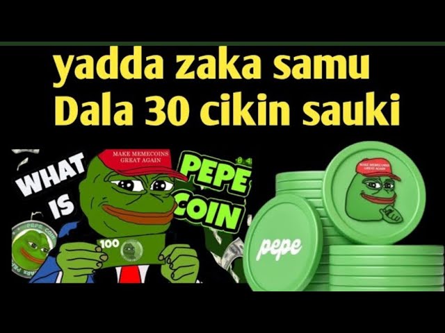 如何以 30 美元轻松获得免费 PEPE COIN 无需投资 免费更新 ☑️