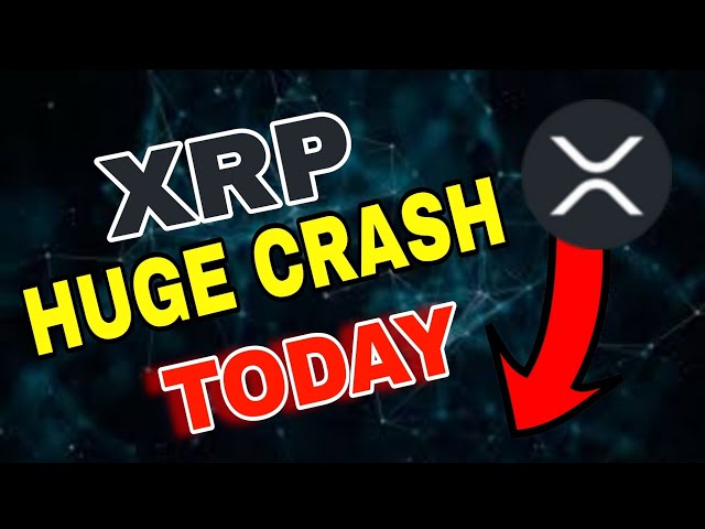 충돌 후 XRP 긴급! XRP 가격 예측