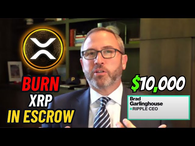 에스크로에서 모든 XRP를 소각시키는 리플!! 🚨 XRP에서 확인해야 할 $10,000