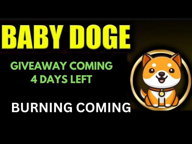 嬰兒狗狗幣贈品 |燃燒| BabyDoge 硬幣價格泵 100x |幣安上線