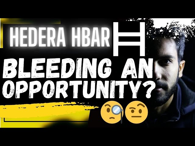 🚨 HEDERA HBAR：错失良机？？？🚨