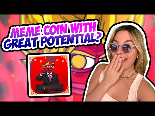 Chinese Brett Review - Meme Coin Lookout 2024!