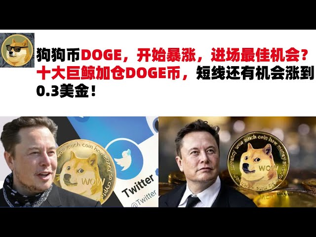 ドージコイン DOGE が急騰し始めていますが、市場に参入する最良の機会は何ですか?上位10位の巨大クジラがDOGEコインのポジションを増やしており、価格が0.3ドルまで上昇する可能性がある