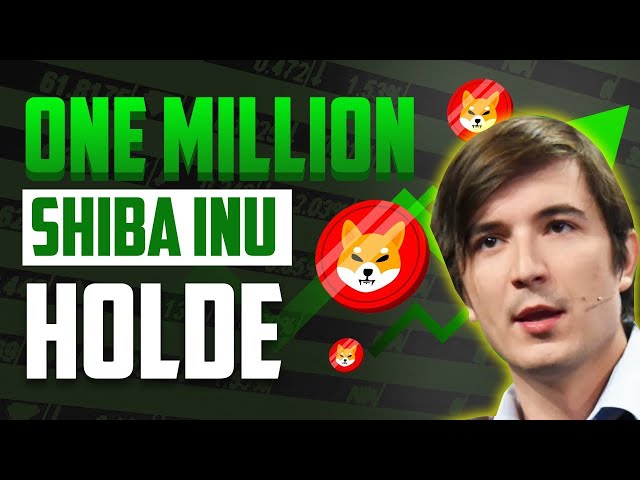 „SHIBA INU: 99 % von Ihnen haben nicht genug, um reich zu werden – im Ernst! – SHIBA INU Coin News Today