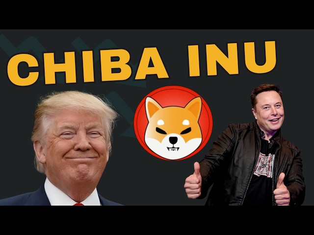 SHIBA INU COIN (SHIB), Donald Trump et Elon Musk peuvent monter cette pièce Meme ?