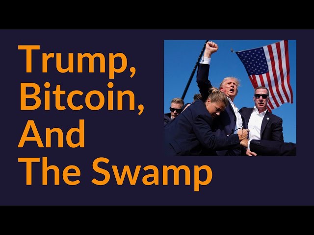 Trump, Bitcoin et le marais