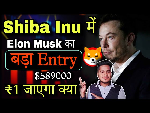 Shiba Inu et Elon Musk et Entrée 😱 | Shiba lnu Coin Nouvelles aujourd'hui | Prévision de prix | Actualités cryptographiques aujourd'hui