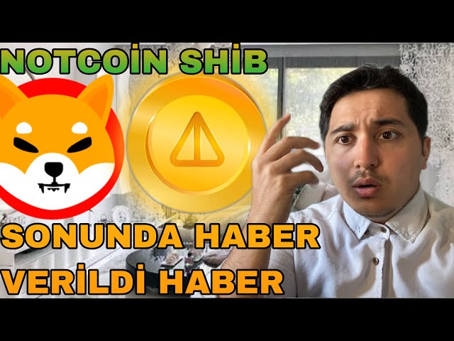 NOTCOIN SHIB 會出售嗎，明天會有新消息！ ！ ... shiba 幣分析，notcoin 分析，比特幣