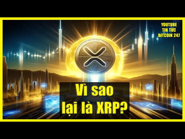 Pourquoi le XRP constitue-t-il la majorité de mon portefeuille d’investissement ?