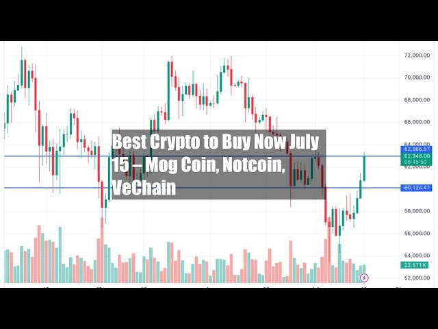 Meilleure crypto à acheter maintenant le 15 juillet – Mog Coin, Notcoin, VeChain