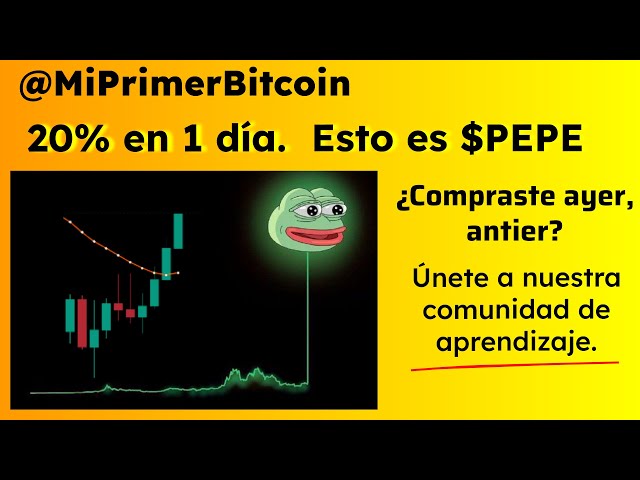 $PEPE gagne 20% en 24 heures. As-tu acheté hier ?