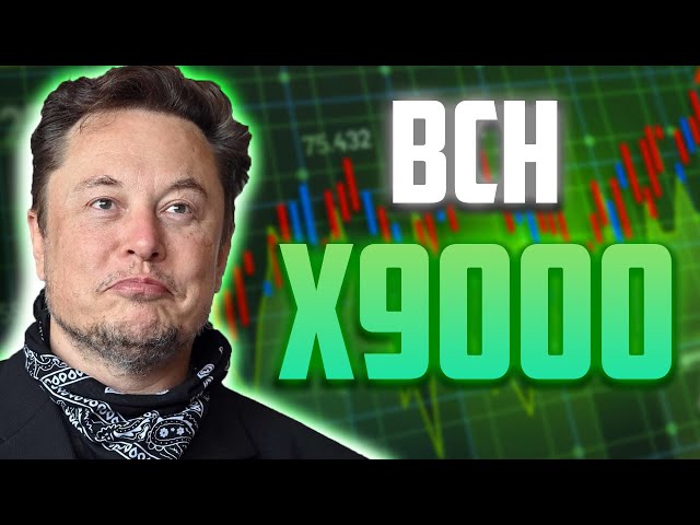 ELON MUSK SUR LA PRÉDICTION DES PRIX DU BCH - BITCOIN CASH SHOCKING NEWS 2025