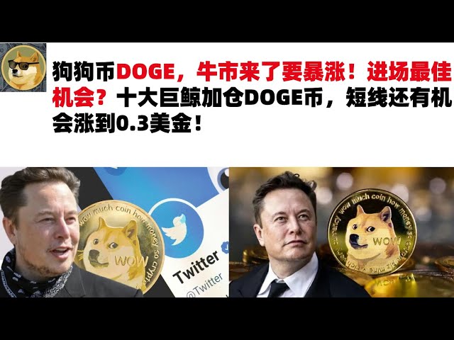 Dogecoin DOGE, le marché haussier arrive et il va monter en flèche ! La meilleure opportunité pour participer ? Les dix principales baleines géantes ont augmenté leurs positions dans les pièces DOGE, et il est possible que le prix atteigne 0,3 dollar amér