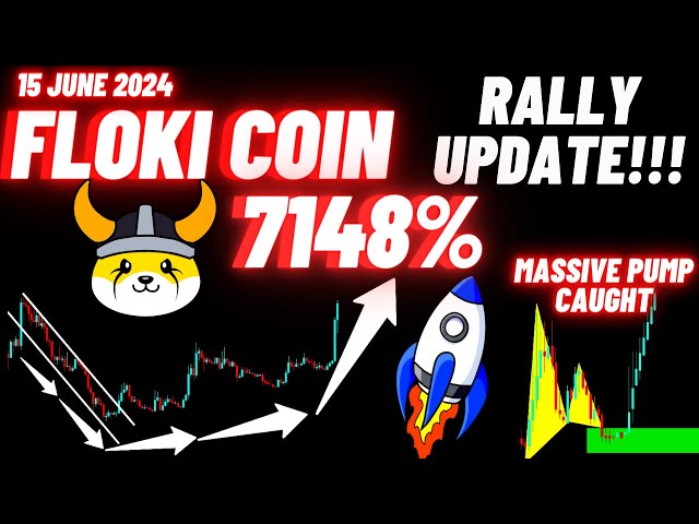 FLOKI Crypto Coin Rally Update!!! | 15. Juni 2024