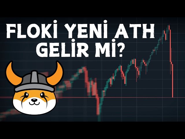 FLOKI NEW ATH가 올까요? 10배의 잠재력을 지닌 새로운 DOGE MEME 코인 기회!