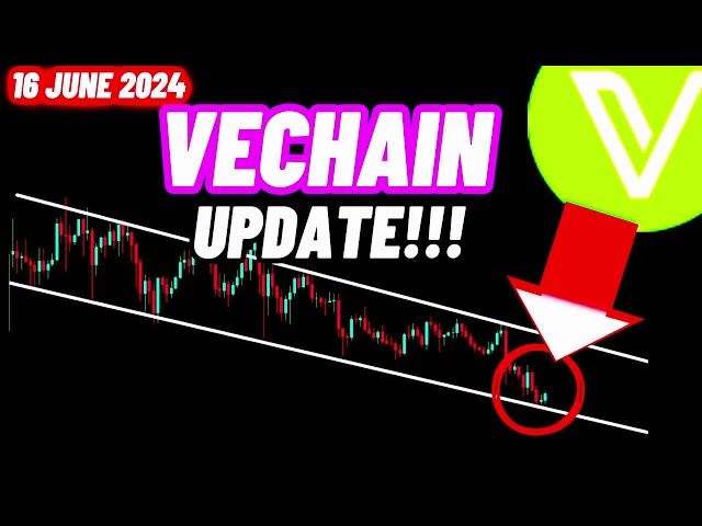 Vechain VET-Preis-Kryptomünzen-Update!!! | 16. Juni 2024