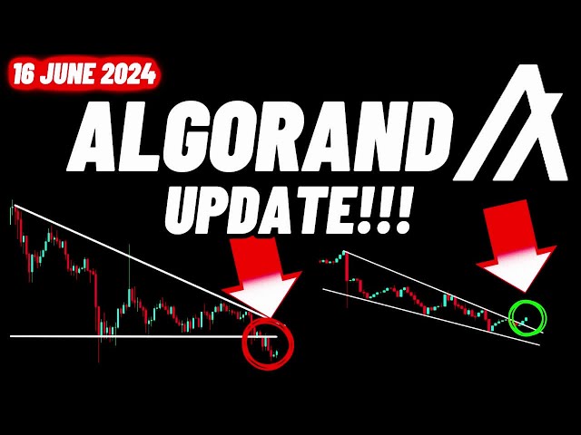 Algorand (ALGO) 加密货币更新！！！ | 2024 年 6 月 16 日