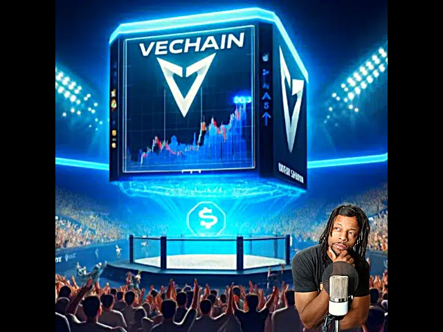 여기서 Vechain(VET)과 Vthor를 10배 이상 늘릴 수 있나요? #vechain #vtho