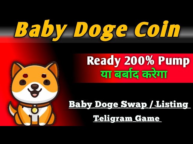 Baby doge coin latest news | baby doge next bull run soon