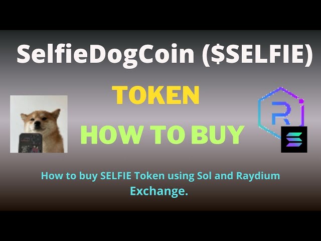 Raydium Exchange 및 SOL을 사용하여 SelfieDogCoin(SELFIE) 토큰을 구매하는 방법