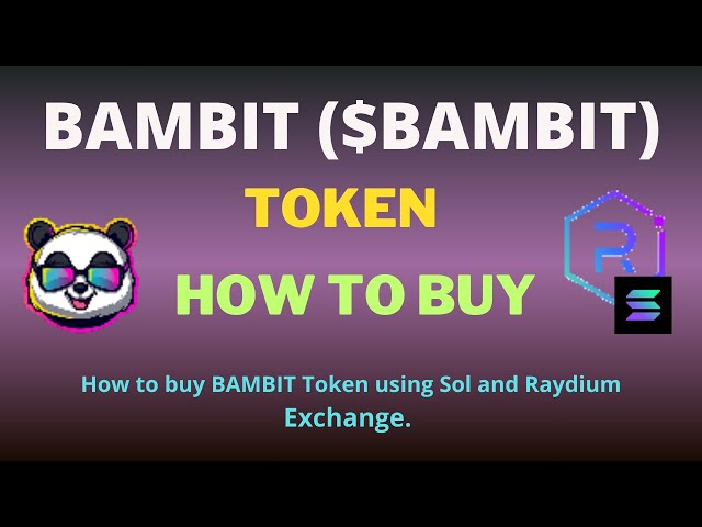 Raydium Exchange 및 SOL을 사용하여 BAMBIT(BAMBIT) 토큰을 구매하는 방법