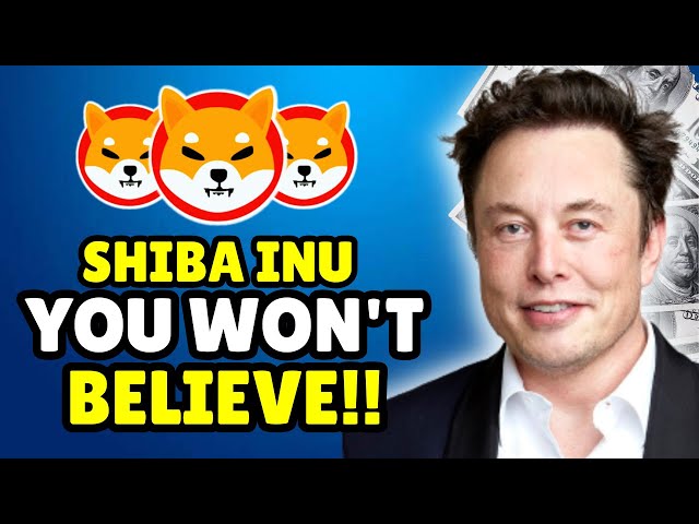 ELON MUSK는 가장 큰 SHIBA INU 사기를 운영합니다! - 오늘의 SHIBA INU 코인 뉴스