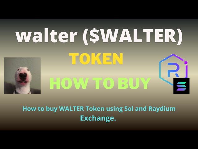 Raydium Exchange 및 SOL을 사용하여 Walter(WALTER) 토큰을 구매하는 방법