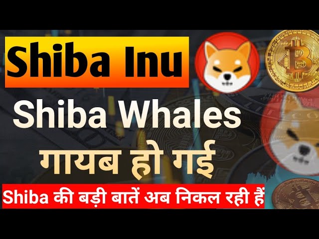 Shiba Whales 좋아요 || 오늘의 시바견 코인 뉴스 || 시바견 코인 가격 예측