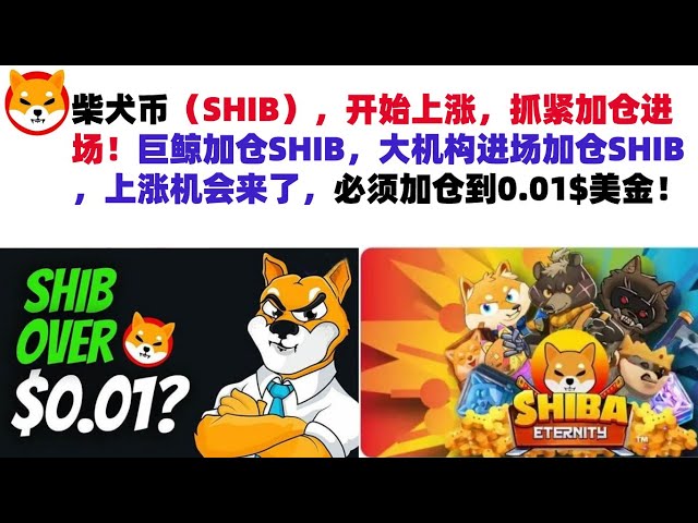 Shiba Inu Coin (SHIB) a commencé à augmenter, dépêchez-vous et entrez sur le marché ! Les baleines géantes augmentent leurs positions dans SHIB et les grandes institutions entrent sur le marché pour augmenter leurs positions dans SHIB. L’opportunité de s’