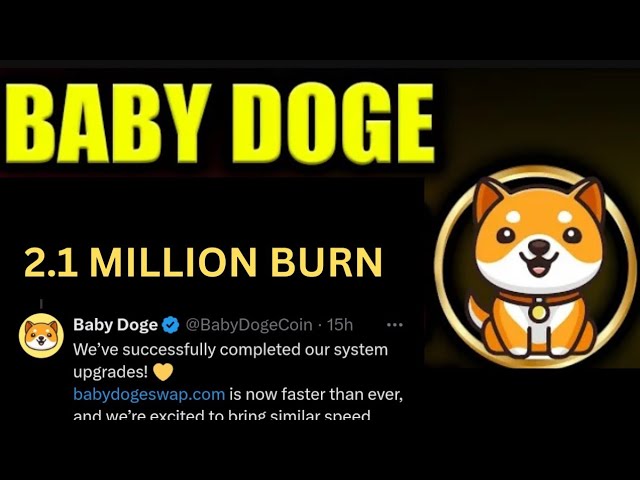 寶貝狗狗幣今日新聞 | 210 萬燃燒 | BabyDoge 硬幣價格幫浦 | 清單