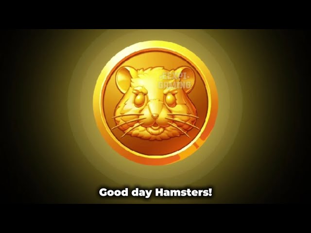 How To Connect Airdrop In Hamster | How To Get One Million Coin In Hamster Coin | Hamster Coin Value