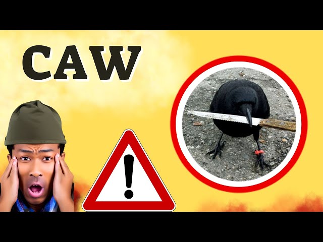 Prédiction CAW 18/JUN CROW WIF KNIFE Coin Price News Today - Mise à jour de l'analyse technique cryptographique maintenant