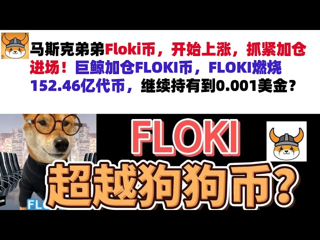 马斯克弟弟Floki的币价已经开始上涨，赶紧加仓吧！巨鲸增加了在 FLOKI 币中的地位。 FLOKI 销毁了 152.46 亿枚代币。是否会继续举行直至重新举行