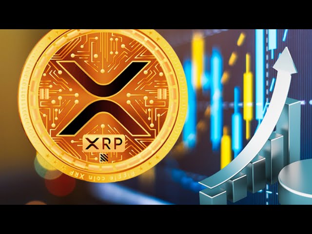 XRPリップル次の黄金比価格!!!! GROK AI は $1000 XRP と言っています!!!!罠はもうすぐ終わります!!!!