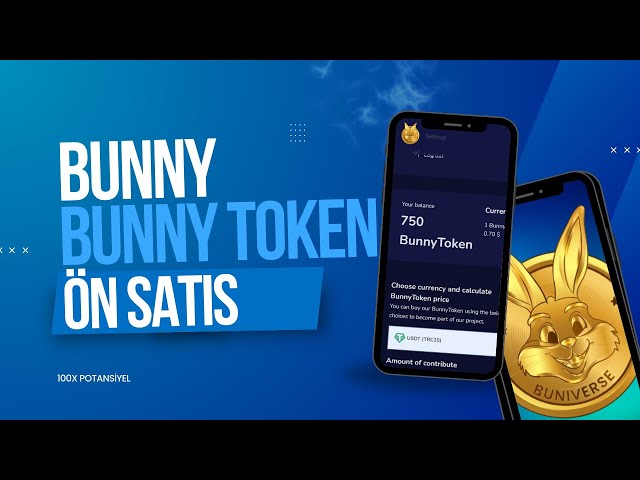 WIR SPRUNG AUF DIE BUNNY TOKEN PRE-SALE TRAIN REVIEW PROMOTION #presale #presalecoin