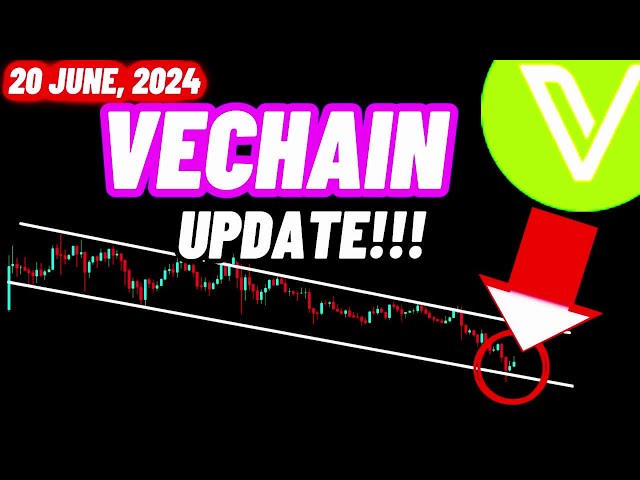 Vechain VET 가격 암호화폐 업데이트!!! | 2024년 6월 20일