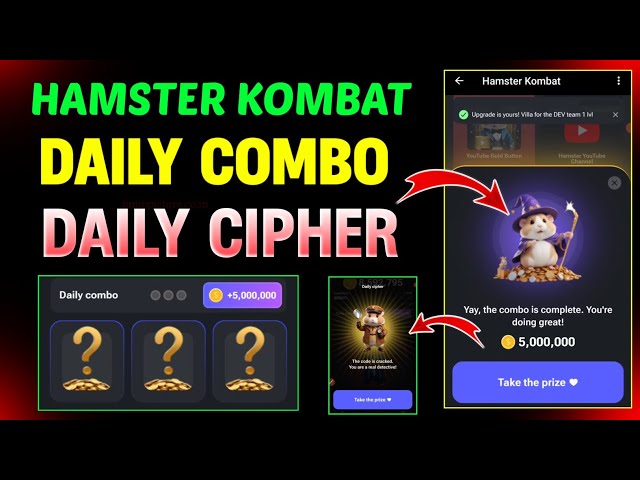 Hamster Kombat 일일 콤보가 여기에 있습니다! 햄스터 컴뱃 일일 암호 모스 부호!! 채굴 철수