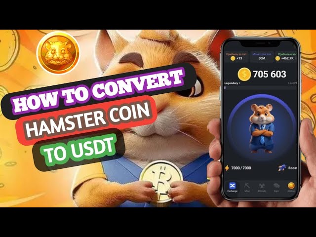 Comment convertir la pièce Hamster en USDT || Comment redessiner la pièce Hamster Kombat en Ustd.