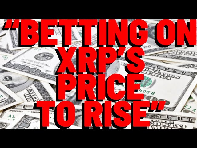 XRP: "TRADERS INCREASINGLY BETTING ON XRP'S PRICE TO RISE" -Media Report