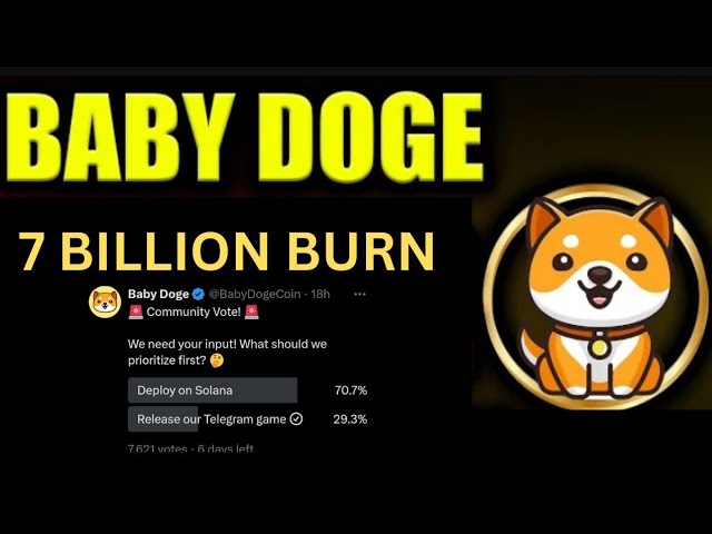 Actualités Baby Dogecoin aujourd'hui | 7 milliards brûlés | Pompe à prix des pièces BabyDoge | Liste Binance